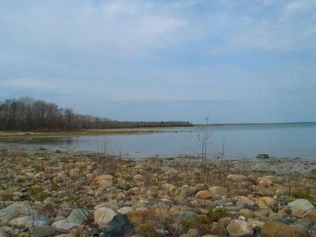 Negwegon State Park 5.jpg