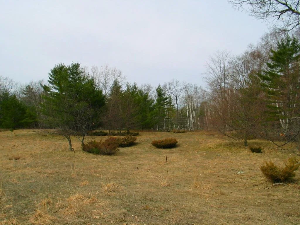 Negwegon State Park 4.jpg