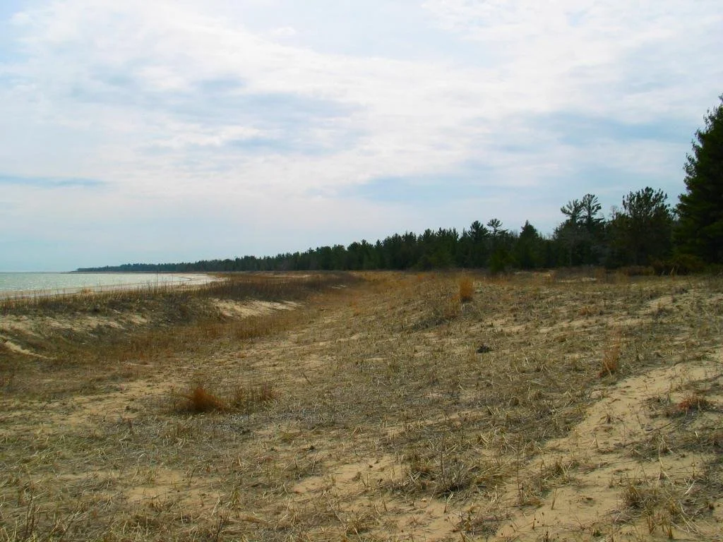 Negwegon State Park 6.jpg