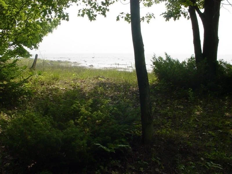 Negwegon State Park 11.jpg