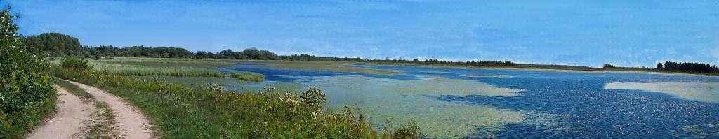 Dingman Marsh 2.jpg