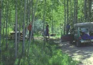 Ossineke State Forest Campground 1.jpg