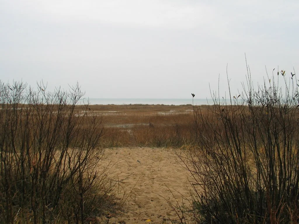 Ossineke State Forest Campground 2.jpg