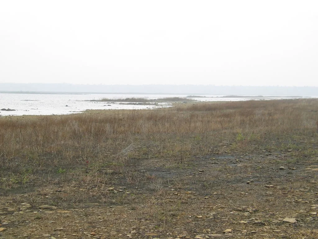 Partridge Point 4.jpg