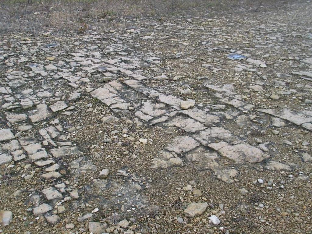 Partridge Point 2.jpg