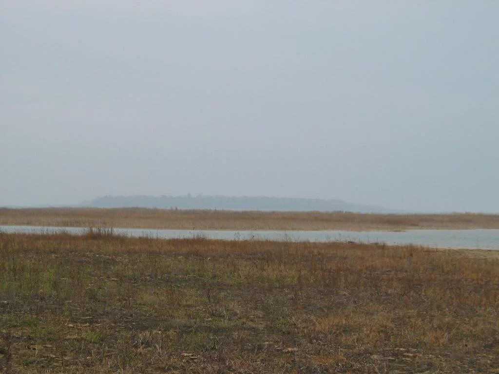 Partridge Point