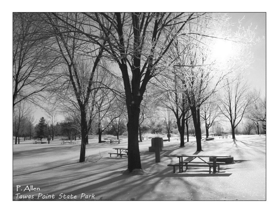Tawas Point 5.jpg