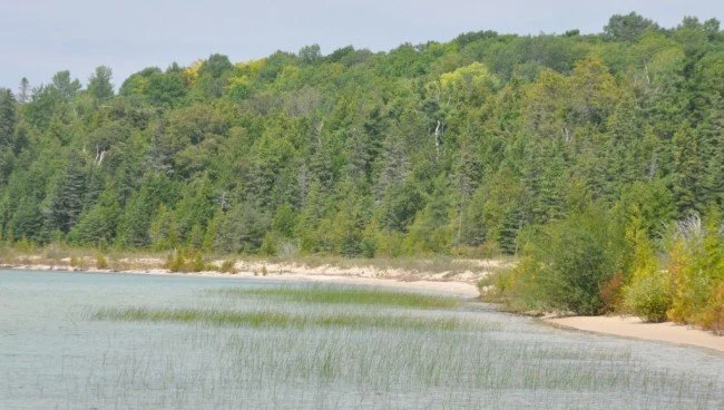 Headlands 2.jpg