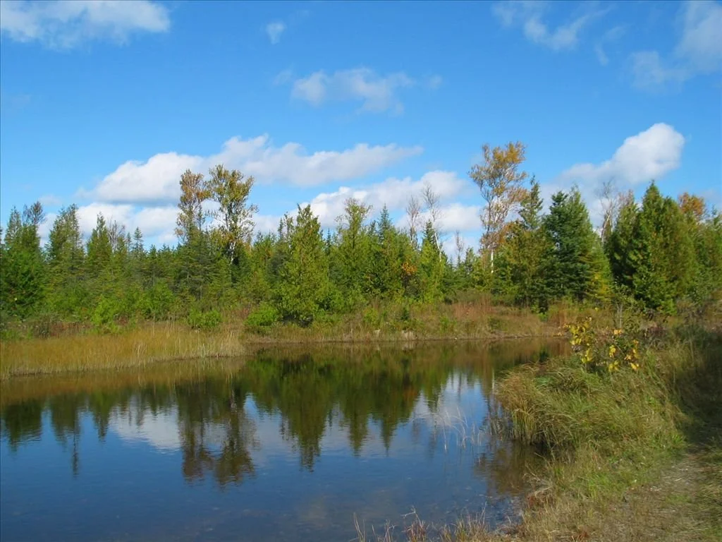 Thompson's Harbor State Park 4.jpg