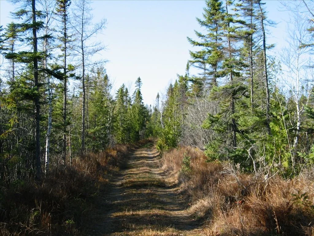 Thompson's Harbor State Park 3.jpg