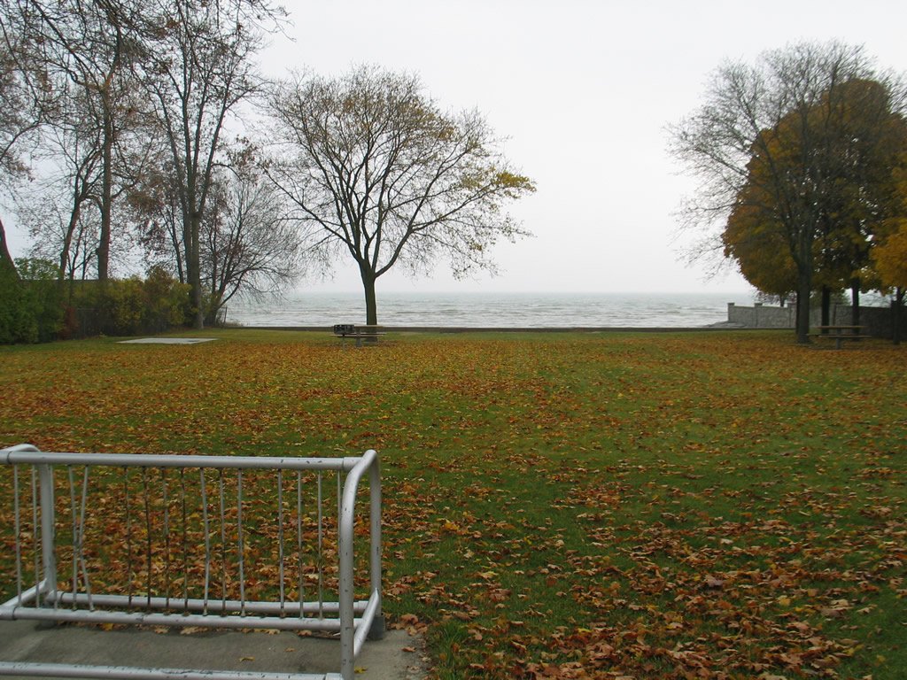 Thomson Park 2.jpg