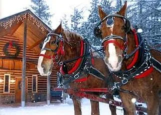 Thunder Bay Resort 1.jpg