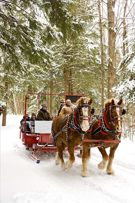 Thunder Bay Resort 2.jpg