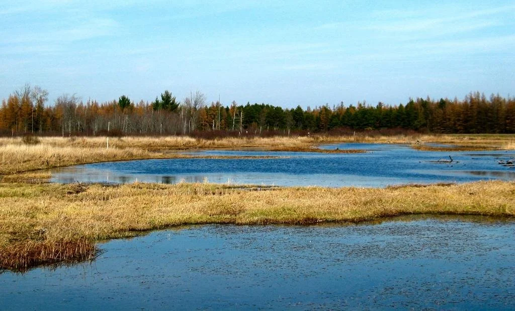 Tuttle Marsh 2.jpg