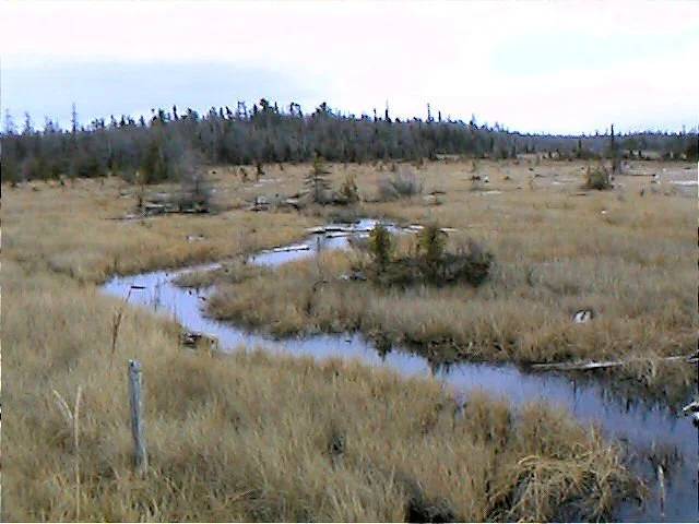 Isaacson Bay 6.jpg