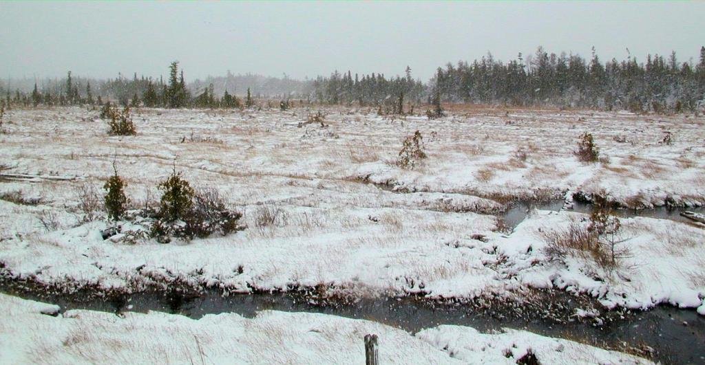 Isaacson Bay 5.jpg