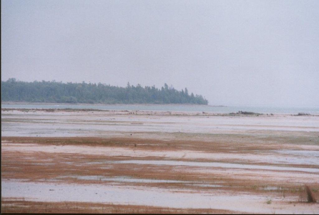 Isaacson Bay 1.jpg