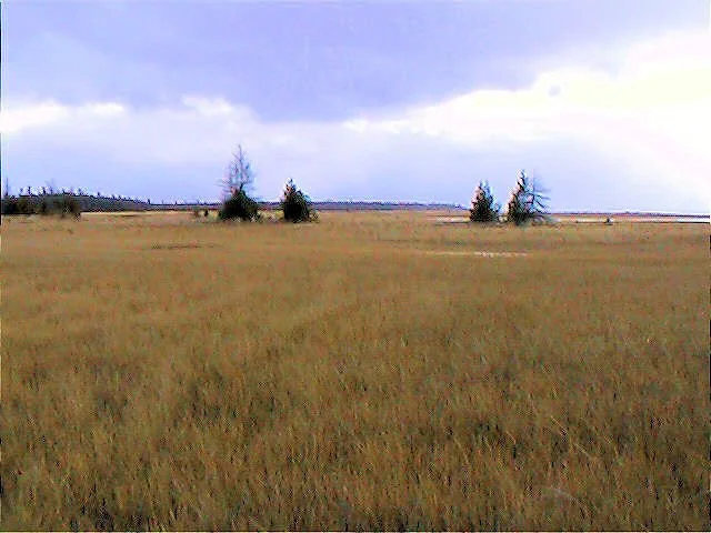 Isaacson Bay 3.jpg