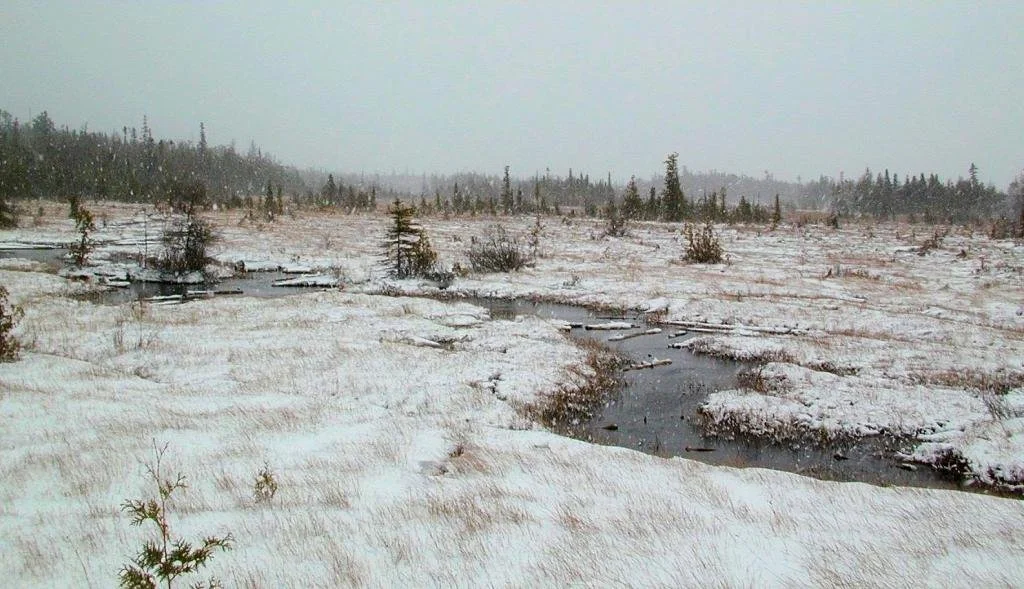 Isaacson Bay 4.jpg