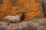 Clear Lake State Park 3.jpg