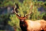 Clear Lake State Park 2.jpg