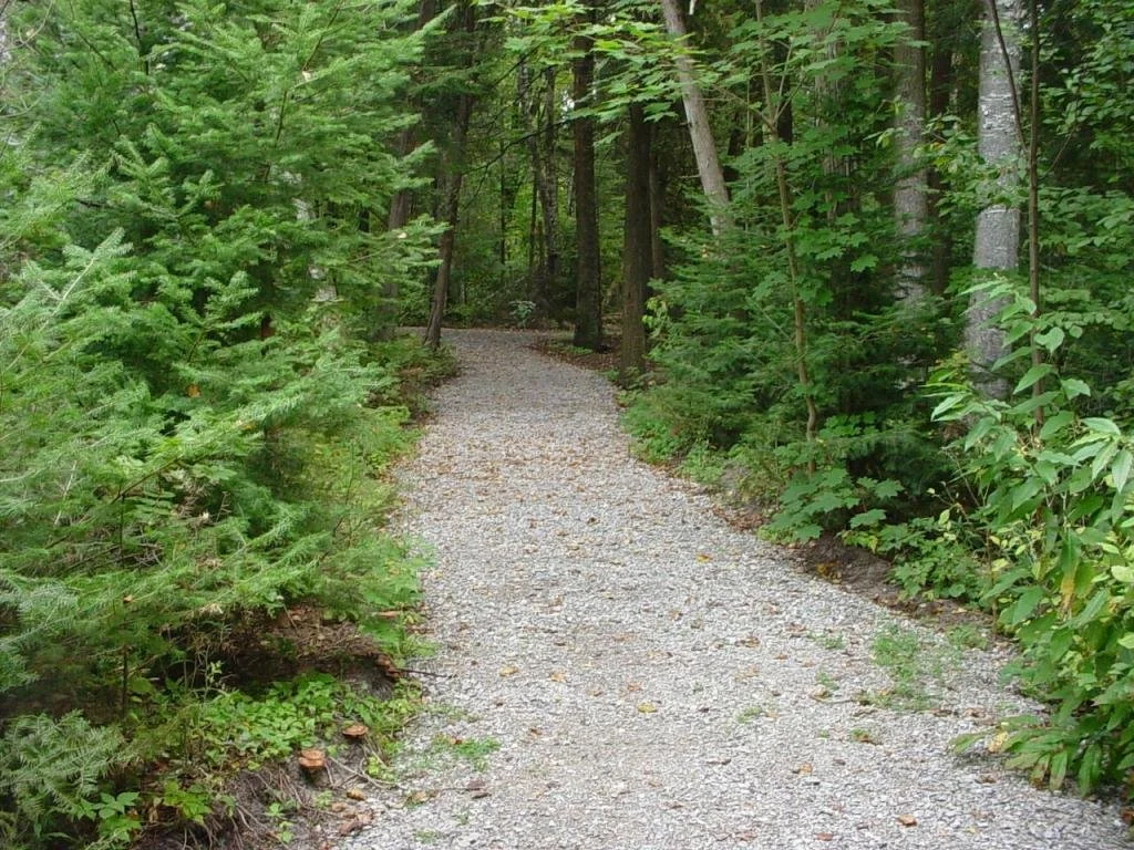 Harrisville State Park 13.jpg