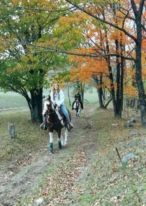 Black Mountain 2.jpg