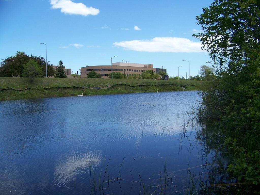 Island Park 2.jpg