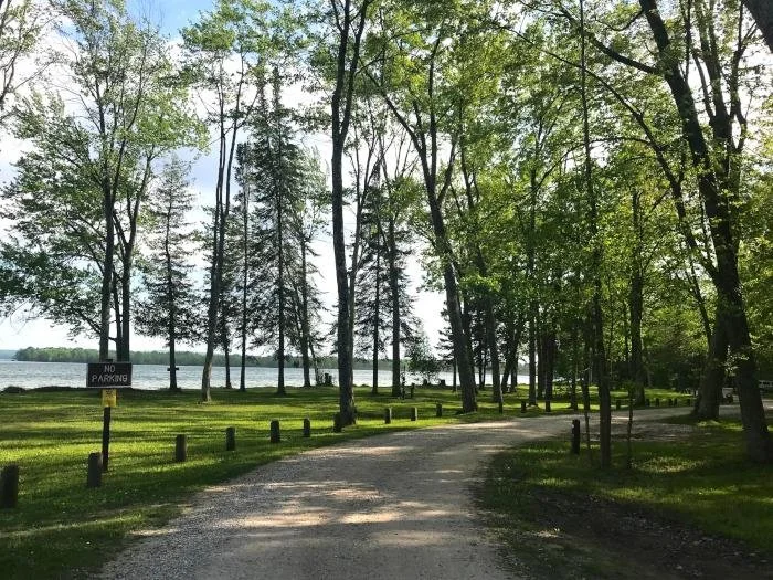 Maple Bay State Forest 1.jpg
