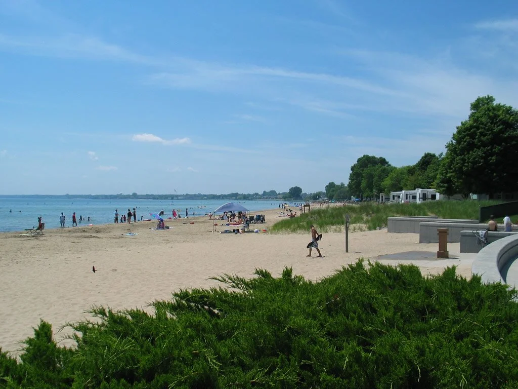 Newman's Street Waterfront 2.jpg
