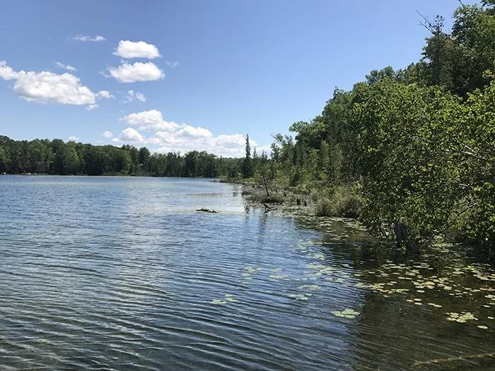 Twin Lakes State Forest Campground 3.jpg