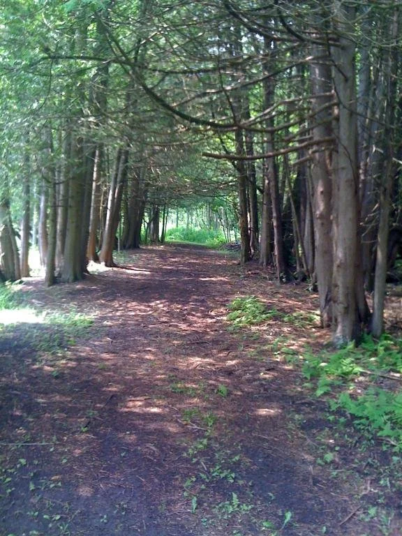 Wolf Creek Park