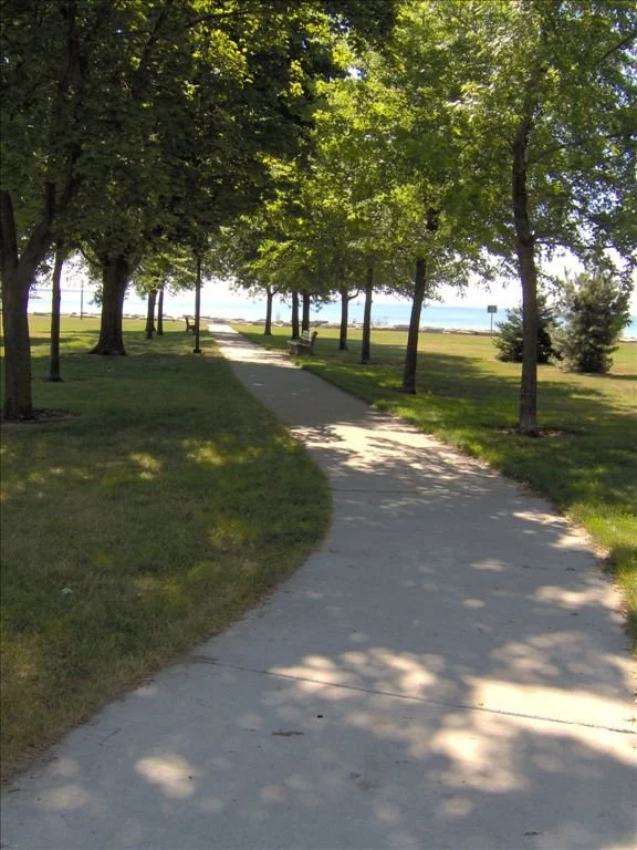 Alpena Bi path 3.jpg