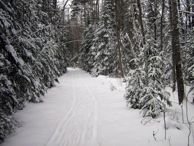 Corsair Trails 1.jpg