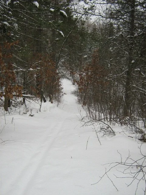 Corsair Trails 4.jpg