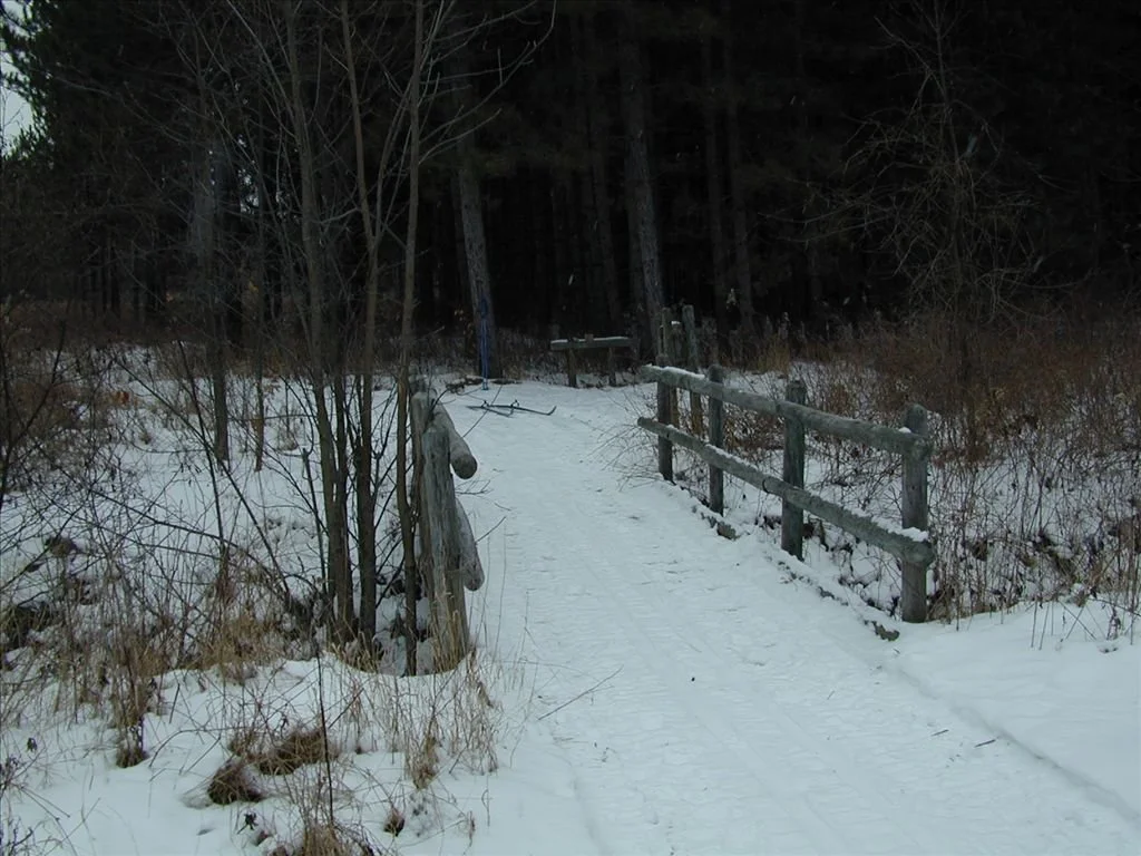 Eagle Run 3.jpg