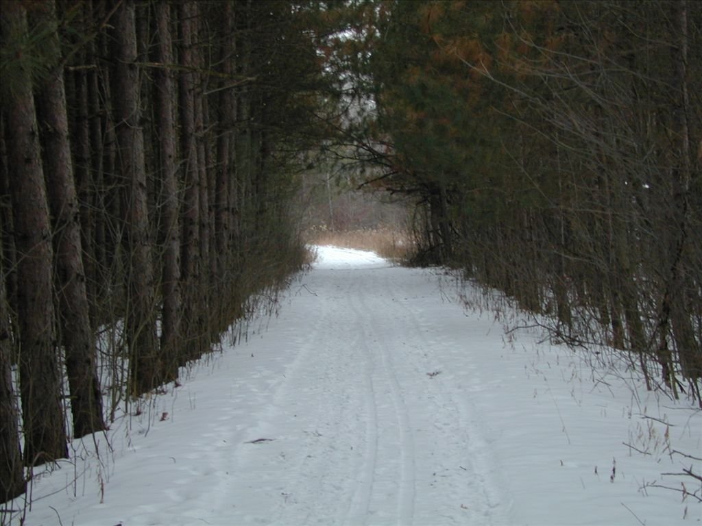 Eagle Run 4.jpg