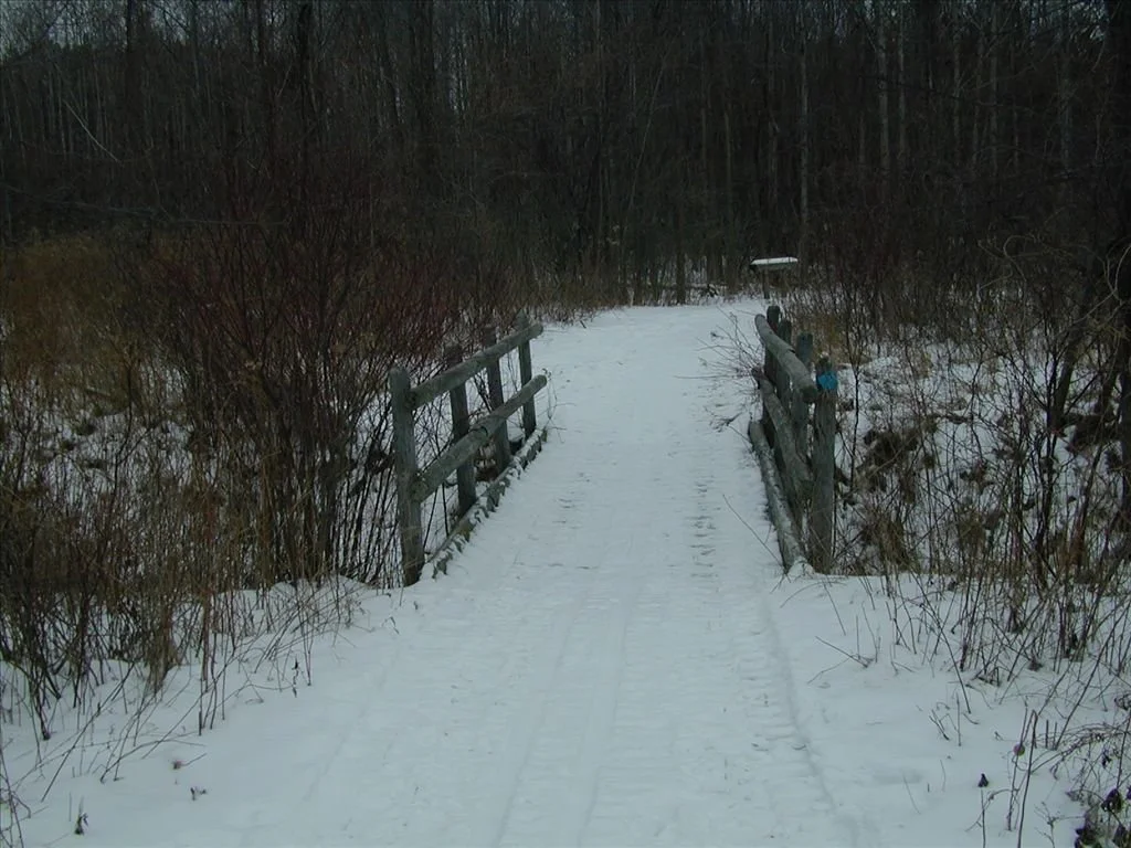 Eagle Run 5.jpg