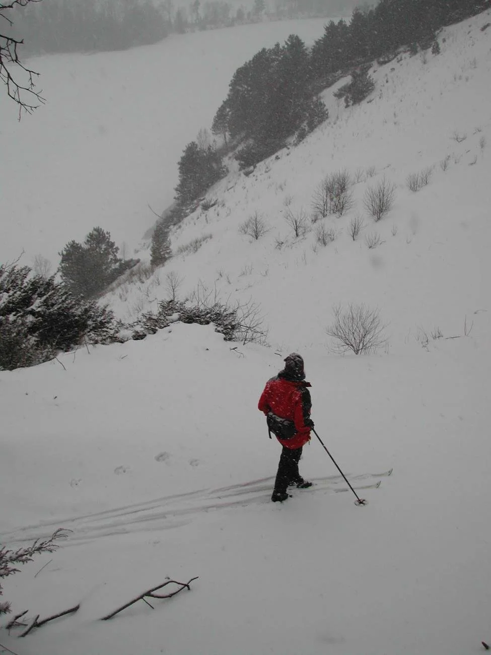 Highbanks Hiking 4.jpg