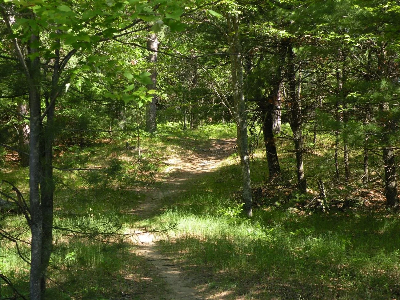 Highbanks Hiking 2.jpg