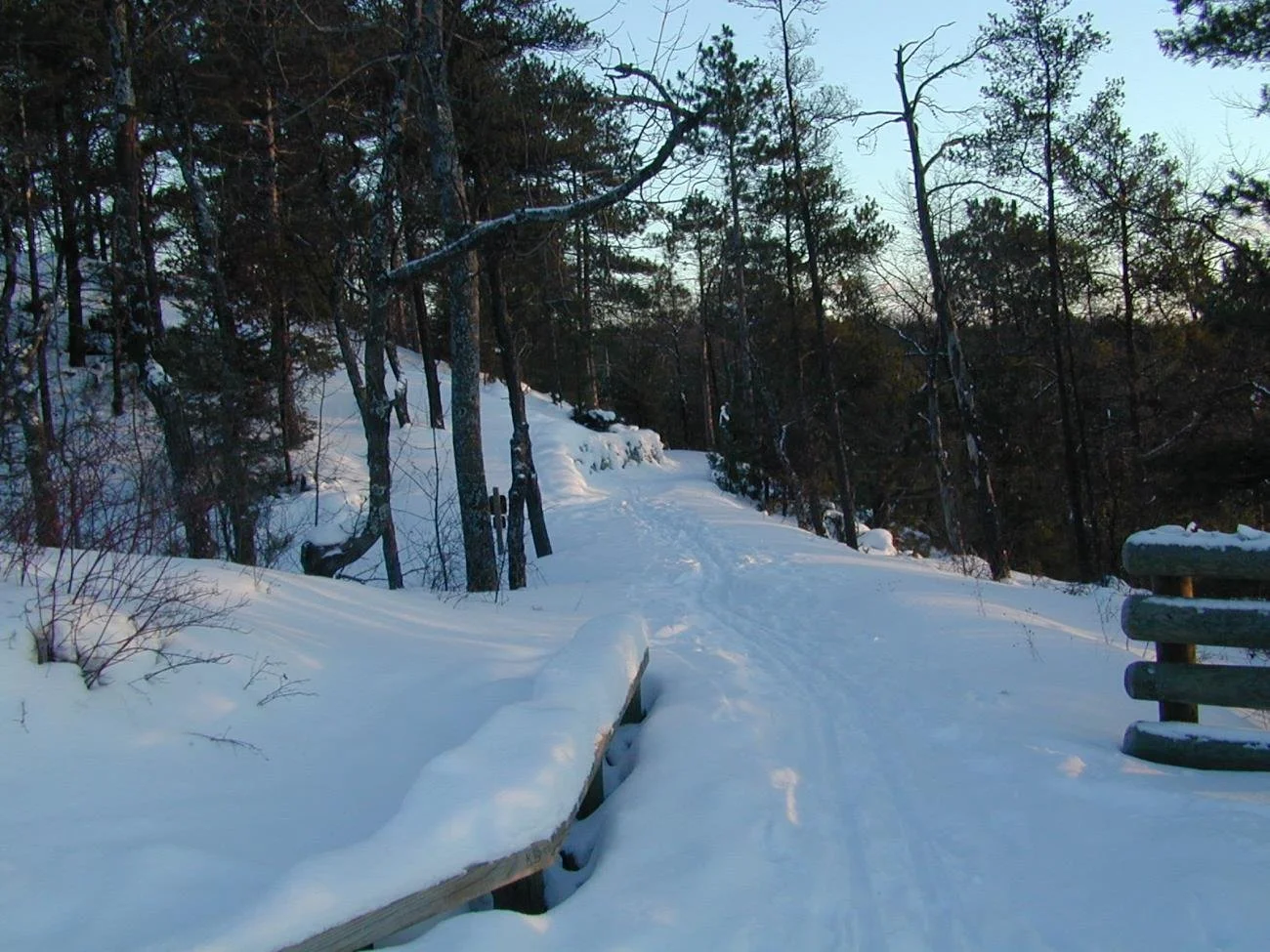 Highbanks Hiking 3.jpg