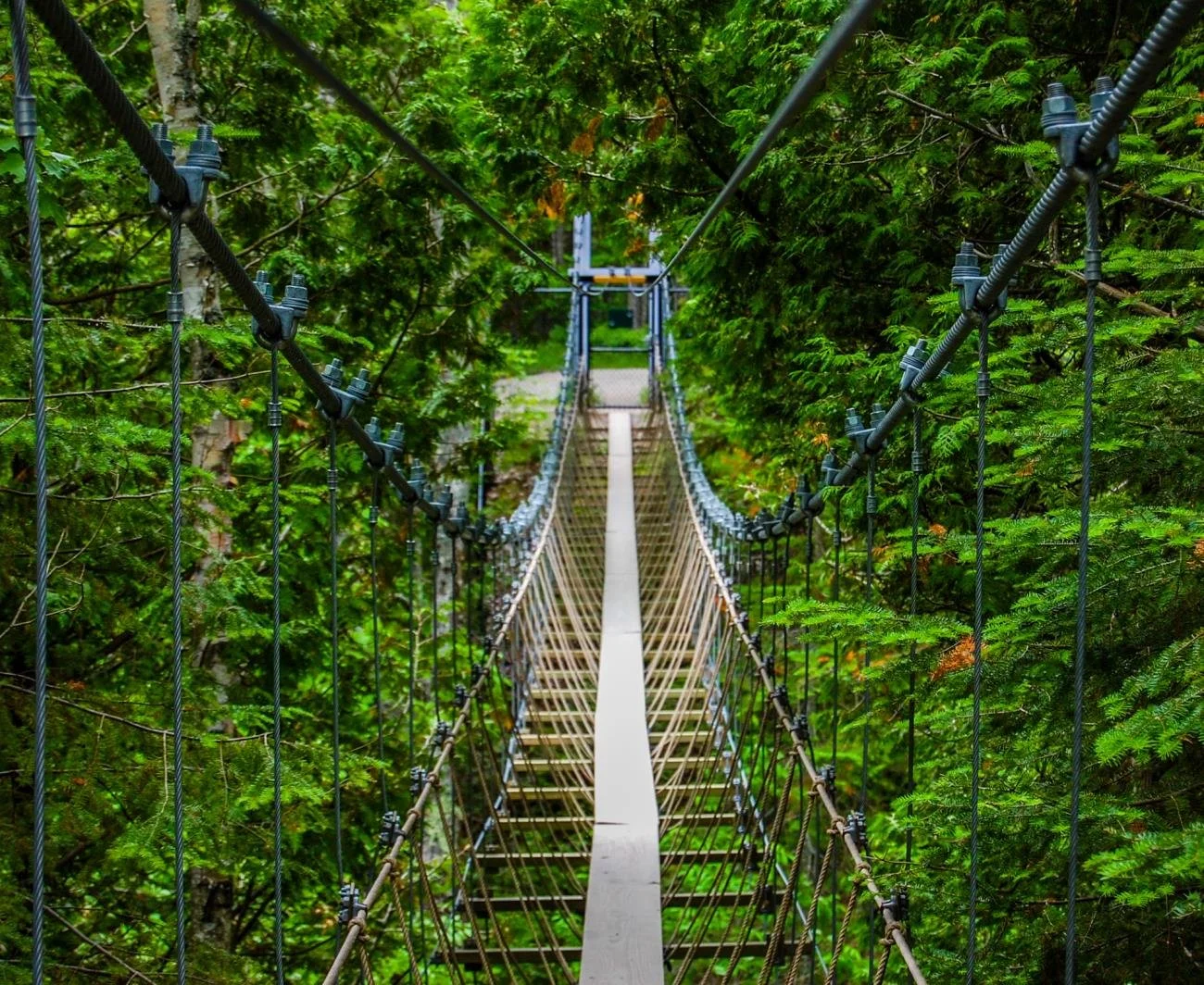 North Central State Trail 5.jpg