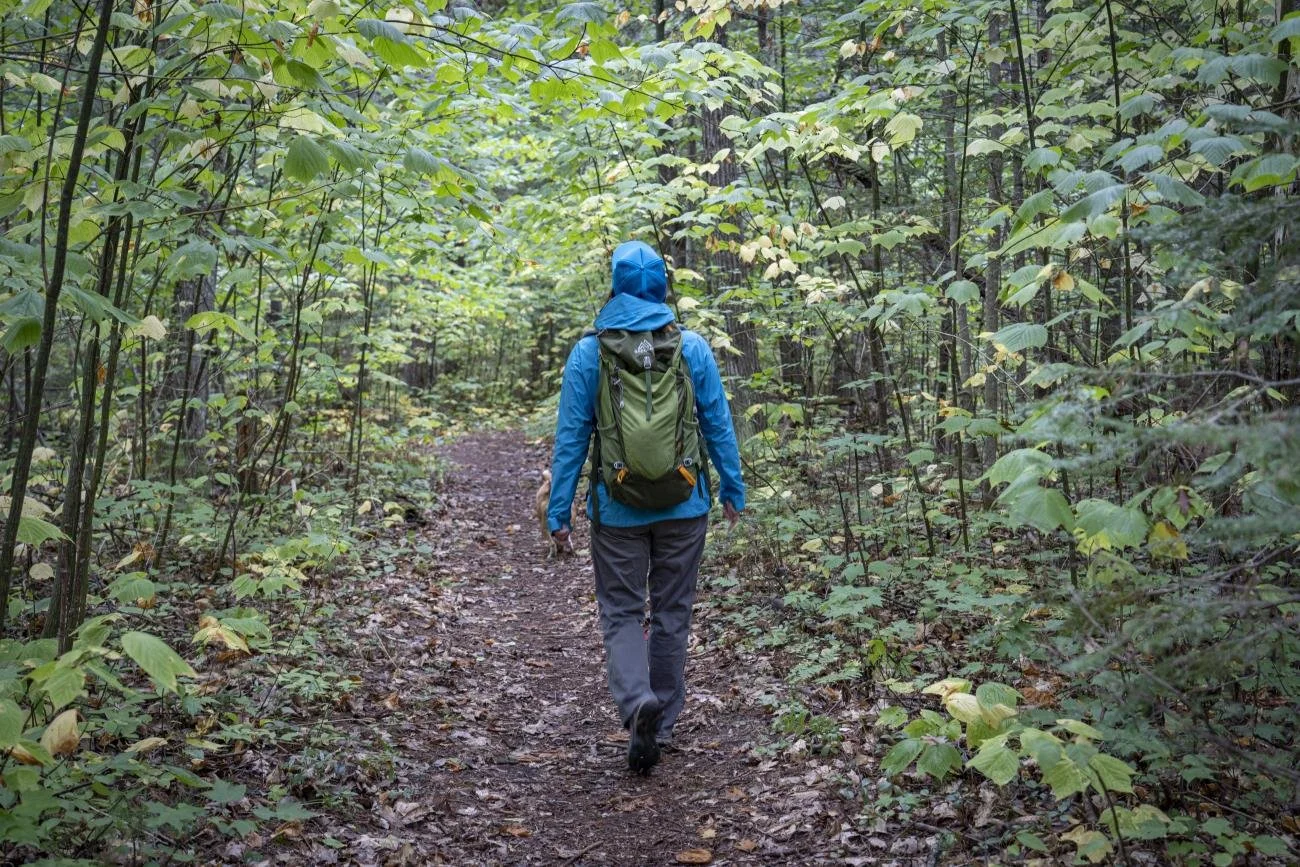Northeast Michigan Trails 3.jpg