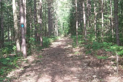 Reid Lake Trail System 1.jpg