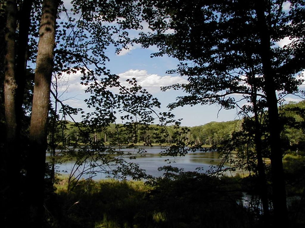 Reid Lake Trail System 2.jpg