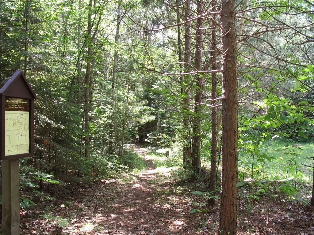 Reid Lake Trail System 4.jpg