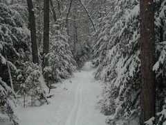 River Road 3.jpg