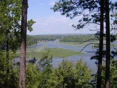 River Road 2.jpg