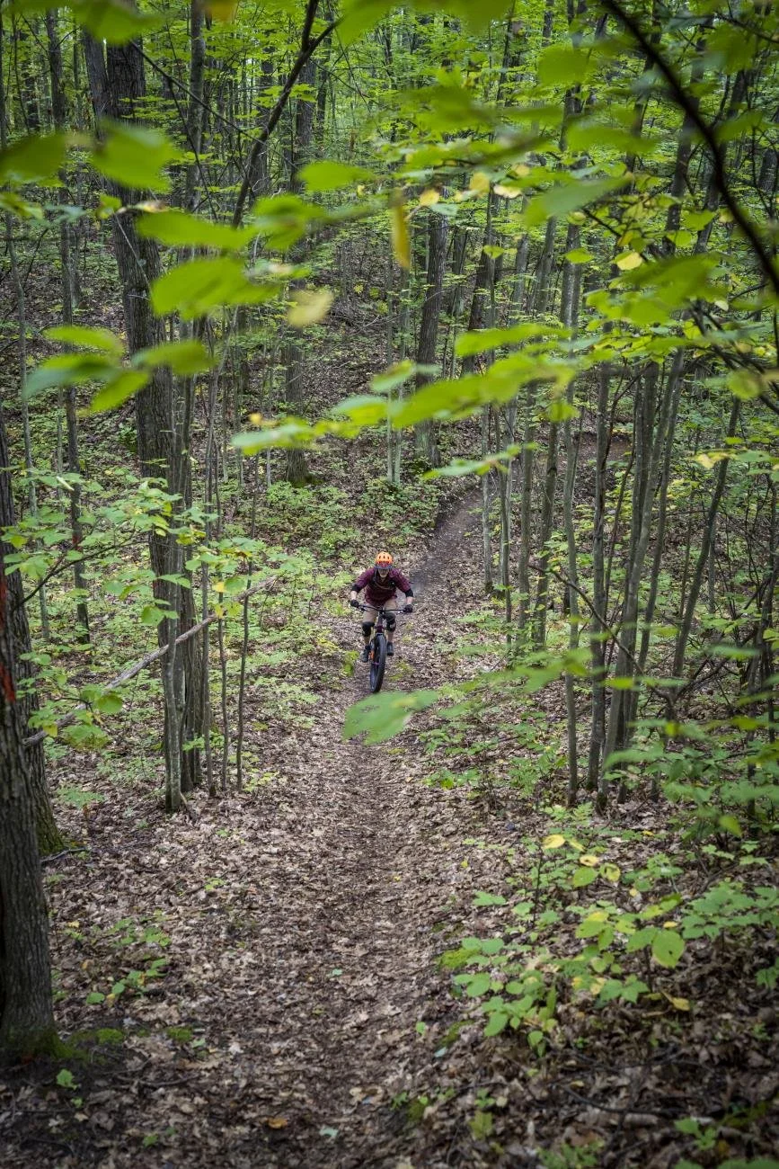 chippewa hills 2.jpg