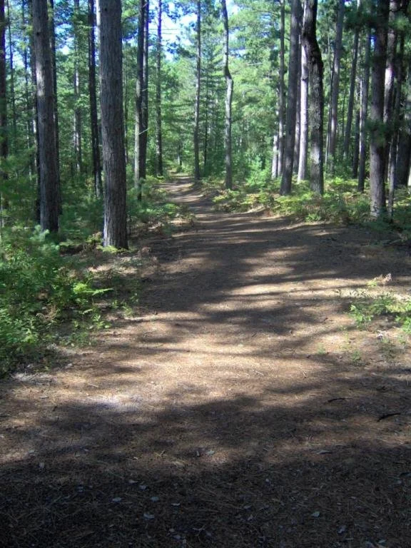 Norway Ridge Pathway 1.jpg